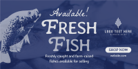 Fresh Fishes Available Twitter Post