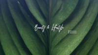  Beauty and Lifestyle YouTube Banner