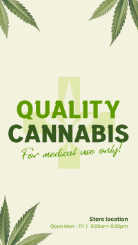 Quality Cannabis Plant YouTube Short