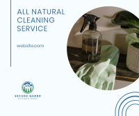 Natural Cleaning Services Facebook Post