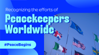 International Day of United Nations Peacekeepers Animation