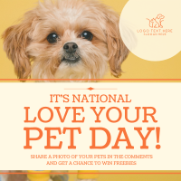 Love Your Pet Day Instagram Post