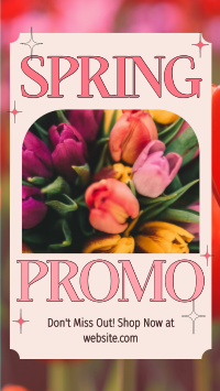 Contemporary Spring Promo Instagram Reel Image Preview