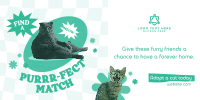 Adopt a Cat Twitter Post