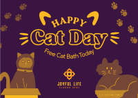 Happy Cat Life Postcard Image Preview