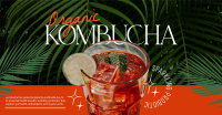 Organic Kombucha Facebook Ad