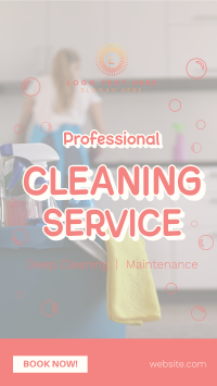 Professional Cleaning Service Facebook Story Image Preview