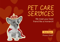 Pet Lounge Postcard