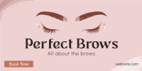 Perfect Beauty Brows Twitter Post