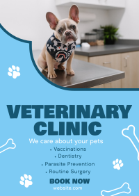 Professional Veterinarian Clinic Flyer