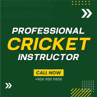 Let's Play Cricket Instagram Post Design