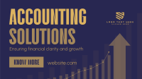 Business Accounting Solutions Animation