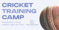 Cricket Training Camp Facebook Ad Design