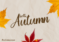 Autumn Leaves Postcard