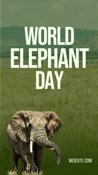 World Elephant Day Instagram Story