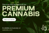 Premium Cannabis Pinterest Cover