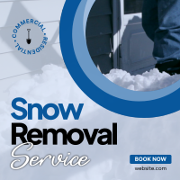 Snow Removal Service Linkedin Post Design