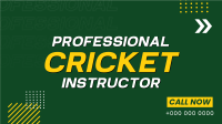Let's Play Cricket Animation