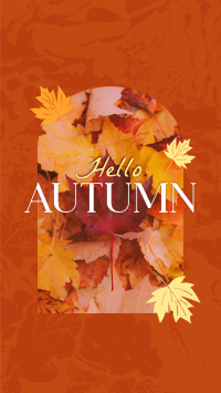 Hello There Autumn Greeting YouTube Short