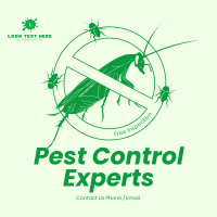 Pest Experts Instagram Post
