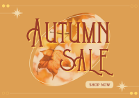 Shop Autumn Sale Postcard