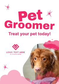 Professional Pet Groomer Flyer