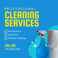 Professional Cleaning Services Instagram Post