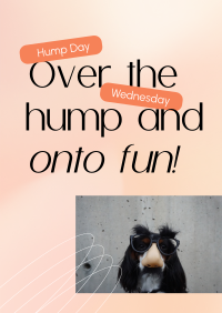 Hump Day Wednesday Poster