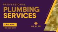 Expert Plumber Service Animation
