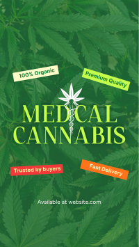 Trusted Medical Marijuana Video