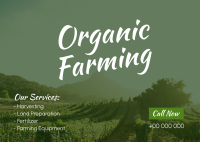 Farm for Organic Postcard Image Preview