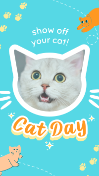 Show off your cat! TikTok Video