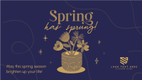 Spring Flower Pot Video