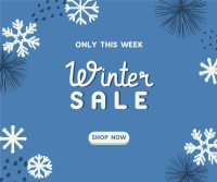 Decorative Winter Sale Facebook Post