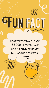 Honey Bees Fact Video