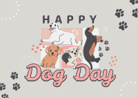 It's Arf Arf Day Postcard