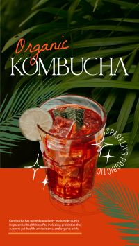 Organic Kombucha YouTube Short