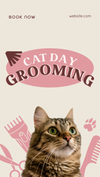 Cat Day Grooming Instagram Reel Image Preview