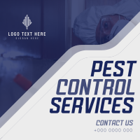 Straight Forward Pest Control Linkedin Post Design