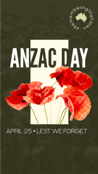 Anzac Halftone Video