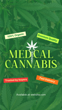 Trusted Medical Marijuana Instagram Reel Image Preview