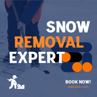 Snow Removal Expert Linkedin Post