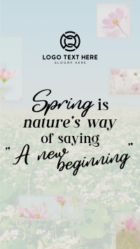 Spring Quote TikTok Video