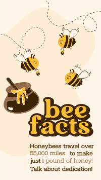 Honey Bee Facts Instagram Story