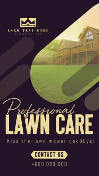 Professional Lawn Cleaning Video