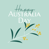 Golden Wattle  for Aussie Day Instagram Post Design