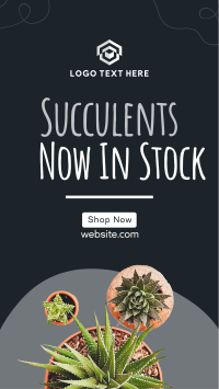 New Succulents Facebook Story