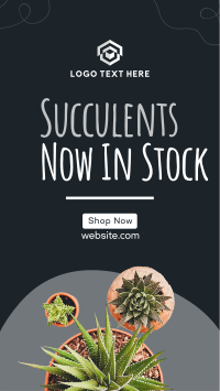 New Succulents Facebook Story