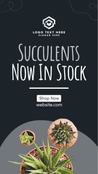 New Succulents Facebook Story