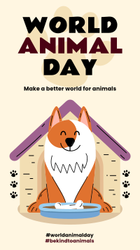Be Kind to Animals Instagram Story